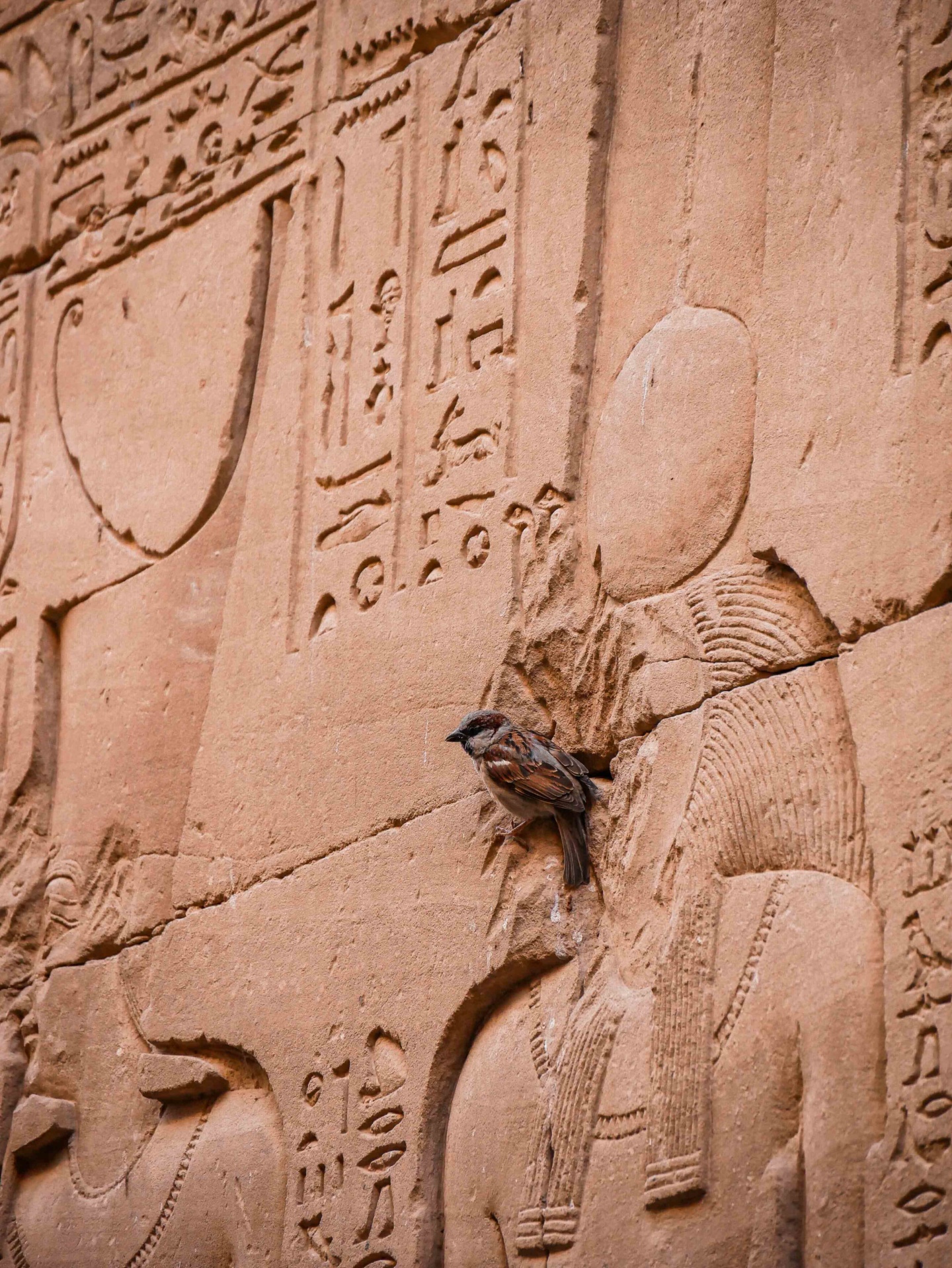 temple d'horus edfou